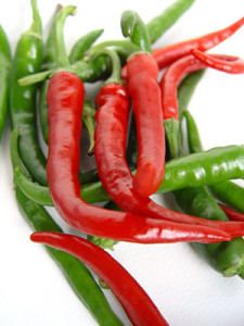 Spicy Chillies